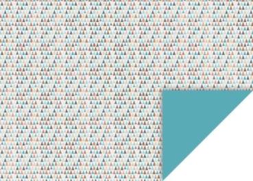 Karton 50x70cm 300g bl/rs.go