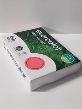 Kopierpapier Evercolor himbeerrot, A4 80 g/qm, aus 100 % Altpapier