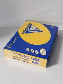 Clairalfa Universal-Papier Trophée, A4, 160 g/qm, kanarien- (8010029)