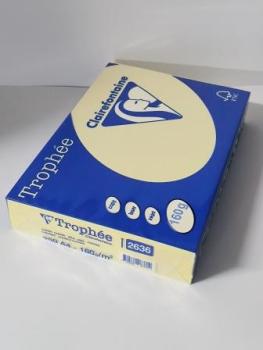 Clairalfa Multifunktionspapier Trop hée, A4, 160 g/qm, gelb (332303400)