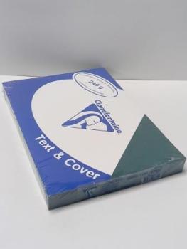 Rückwand A4 ledergenarbt dunkelgrün 240g