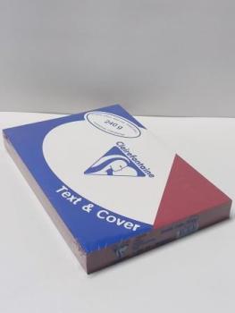 Rückwand A4 ledergenarbt rot 240g