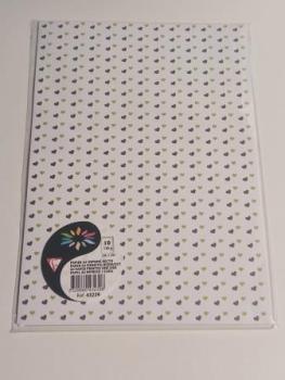 43239C Clairefontaine 10 Bögen A4 Papier einseitig bedruckt im Designhochwertig verarbeitet aus Papier 120g