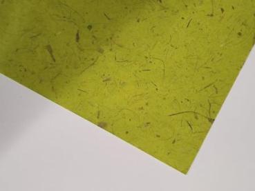 Bananenpapier grün 65 x 95 cm