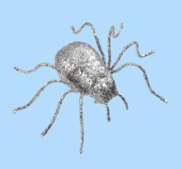 Spinne ca. 6 cm, schwarz