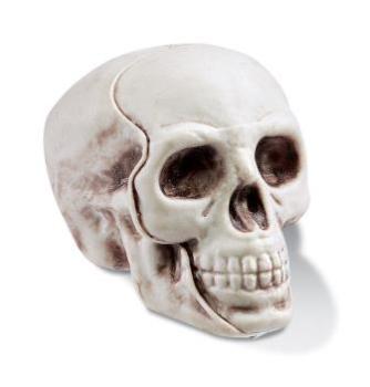 Totenkopf ca. 5 cm, Btl. à 2 St.