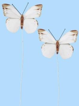 Schmetterling III, Btl. à 2 St.