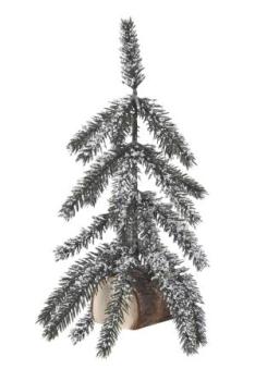 Tannen-Baum ca. 20 cm