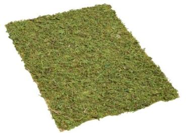 Matte Moos-optik, 20 x 30 cm