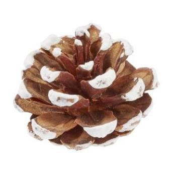 Tannenzapfen ca. 4 cm, Btl. à 4 St.