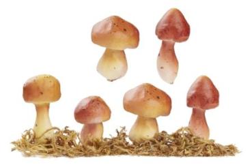 Pilze mit Moos ca. 4 - 4,5 cm, Btl. à 4 St., sortiert