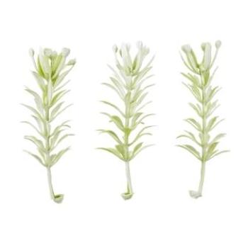 Mini-Zweig, ca. 5 cm, grau-grün, Btl. à 6 St.