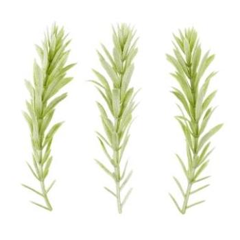 Mini-Zweig, ca. 8 cm, grau-grün, Btl. à 6 St.