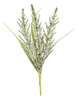 Pick III, ca. 18 cm, creme