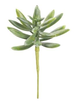 Steingewächs II, ca. 10 cm