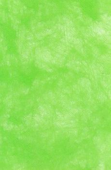 CREApop® Vliesrolle 25 cm x 15 m, olive  ldm