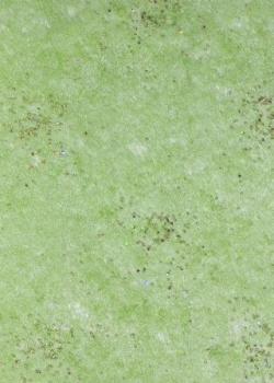 CREApop® Brilliant-Papiervlies tannengrün/gold, 25 cm x 15 m  ldm