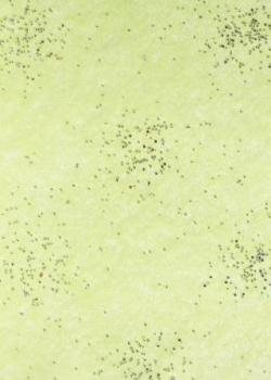 CREApop® Brilliant-Papiervlies hellgrün/silber, 25 cm x 15 m  ldm