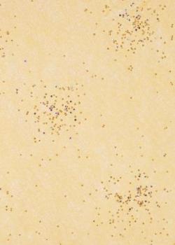 CREApop® Brilliant-Papiervlies aprikot/gold, 25 cm x 15 m   ldm