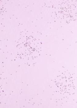 CREApop® Brilliant-Papiervlies rosa/silber, 25 cm x 15 m   ldm