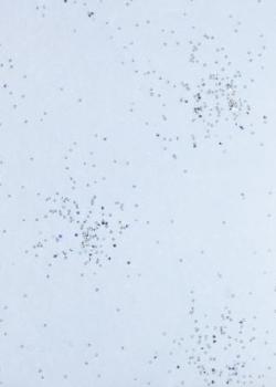 CREApop® Brilliant-Papiervlies hellblau/silber, 25 cm x 15 m    ldm