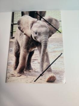 Zeichenmappe A4 Elefant