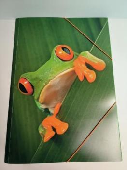 Zeichenmappe A3 PP Rotaugenfrosch