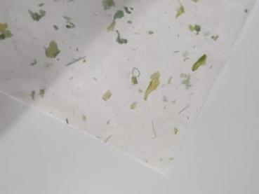 Onion Papier 50 x 70 cm 35g/qm grün