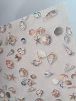Bastelkarton 50 x 70 cm 300g Muscheln