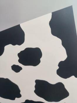 Bastelkarton 50 x 70 cm 300g Kuh