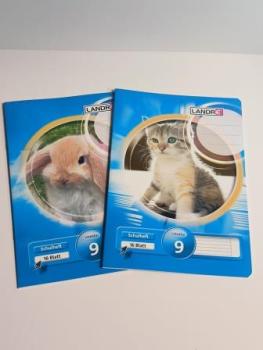 Heft A5 16Bl Lineatur 9