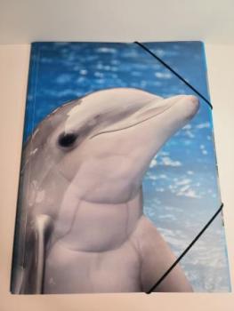 Gummizugmappe A3 Delfin