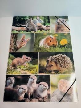 Gummizugmappe A3 Nagetiere
