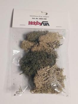 Islandmoos 20 gr. hellgrün