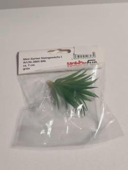 Mini-Garten Steingewächs I, ca. 7 cm, grün