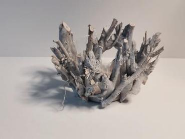 Wurzelholz Pflanzgefäß 20 x 20 12 cm