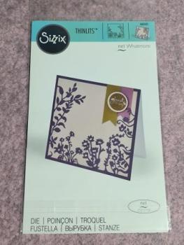 Sizzix Thinlits Set- Filigree Border, 12,7x12,7cm, SB-Blister