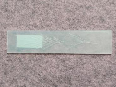 Border embossing folder Ear of Corn 23x123mm