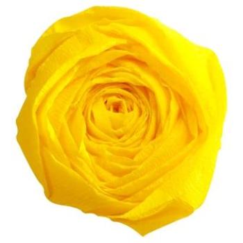 Krepppapier 250x50 zitrone Stück