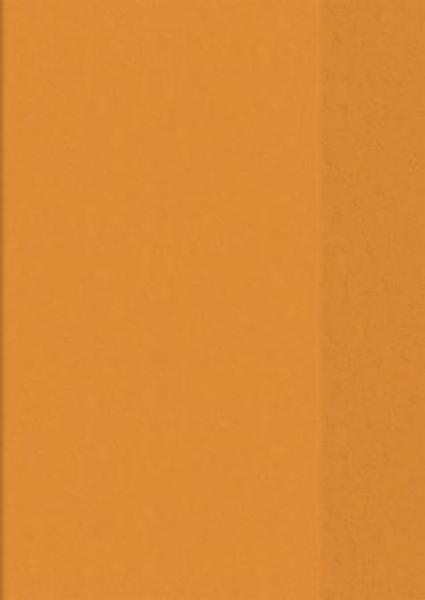 Hefthülle A5 tr orange Folie