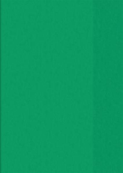 Hefthülle A5 tr grün Folie