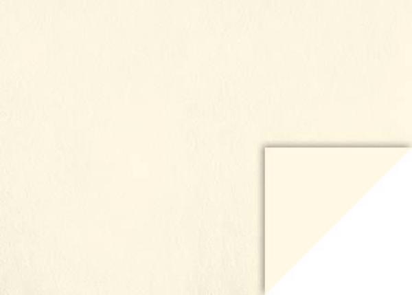 Bastelkarton Uni 50x70 220g perlws