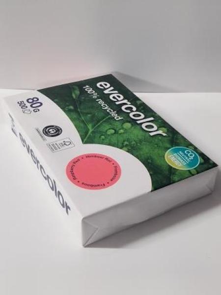 Kopierpapier Evercolor himbeerrot, A4 80 g/qm, aus 100 % Altpapier