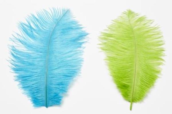Straussen-Federn ca. 20 cm, hellgrün, Btl. à 2 St.