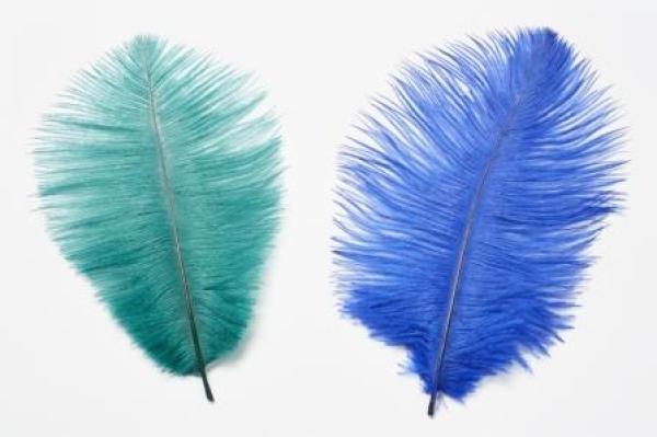 Straussen-Federn ca. 20 cm, blau, Btl. à 2 St.