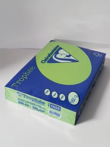 Clairalfa Multifunktionspapier Trop hée, A4, maigrün 160g(8010040)