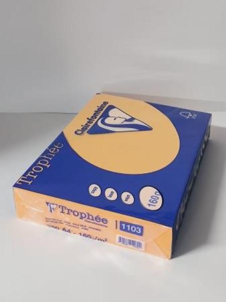 Clairalfa Multifunktionspapier Trop hée, A4, goldgelb 160g(332303600)