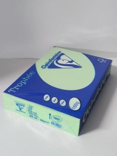 Clairalfa Multifunktionspapier Trop hée, A4, 160 g/qm, grün (332304100)