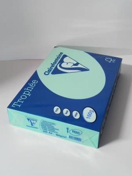 Clairalfa Multifunktionspapier Trop hée, A4, naturgrün160g (8010113)