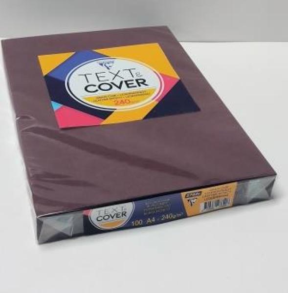 Rückwand A4 ledergeprägt burgundrot 240g